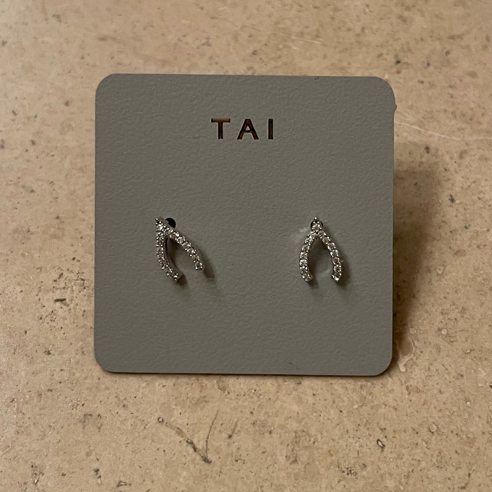 🆕 TAI silver earrings